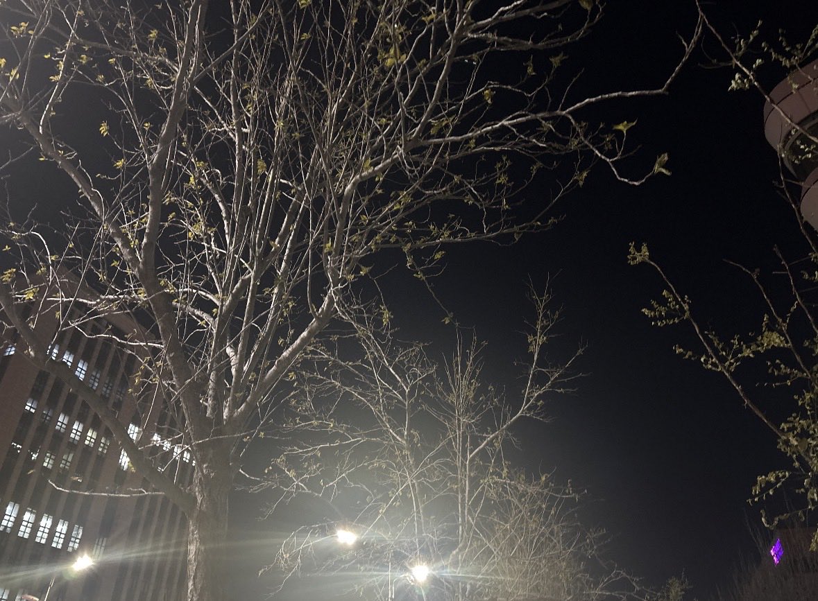 新海诚风格唯美背景插画对比