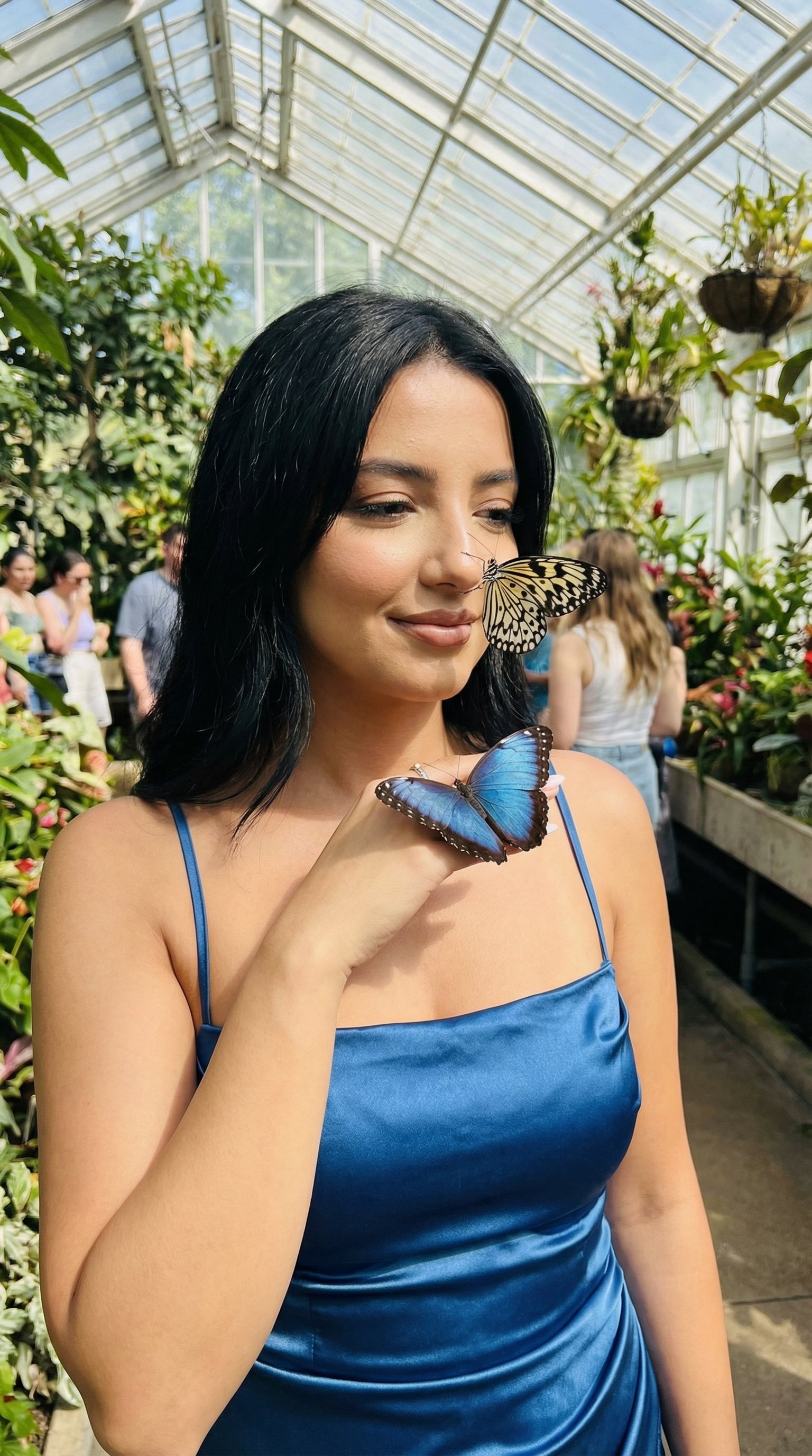 室内蝴蝶花园浪漫摄影人像